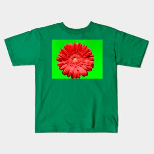 Red gerbera on green Kids T-Shirt